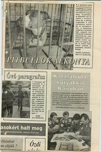 Kairóban kutattak túlélők után kutyáikkal együtt a borsodi polgári védelmi szakemberek egy leomlott ház romjai alatt.