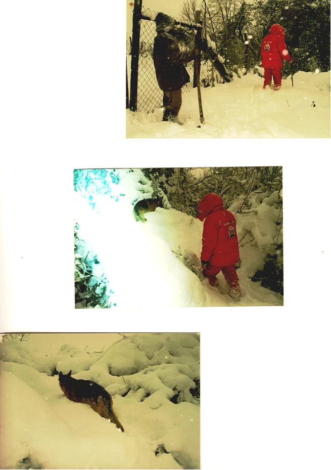 1999 BAZ Megyei hóvihar