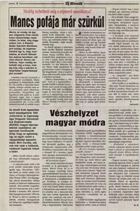 Meddig terhelhető még a népszerű mentőkutya? 