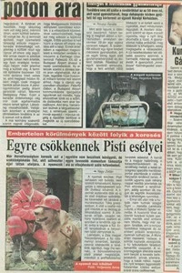 A nyomok kihűltek. Pisti sohasem volt bulizós, nem szokott kimaradozni, bizonygatják a kétségbeesett szülők Svélecz Istvánról.