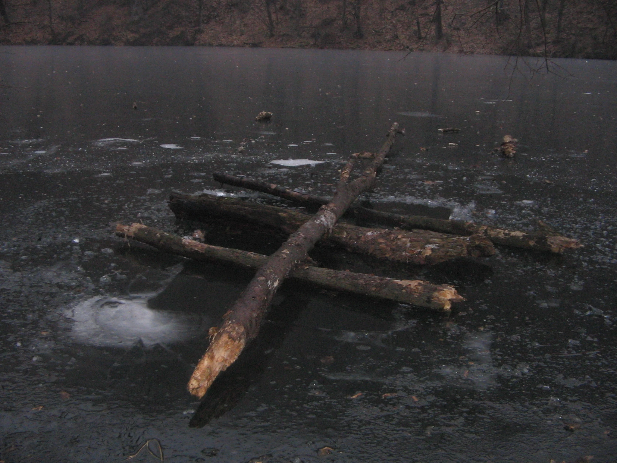 2007 Hámori-tó